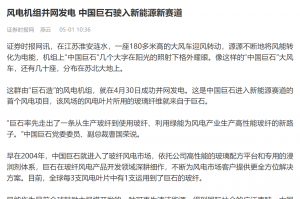 时报：风电机组并网发电 中国人生就是博尊龙ag驶入新能源新赛道
